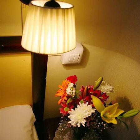 Bed and breakfast Nuevo Suizo